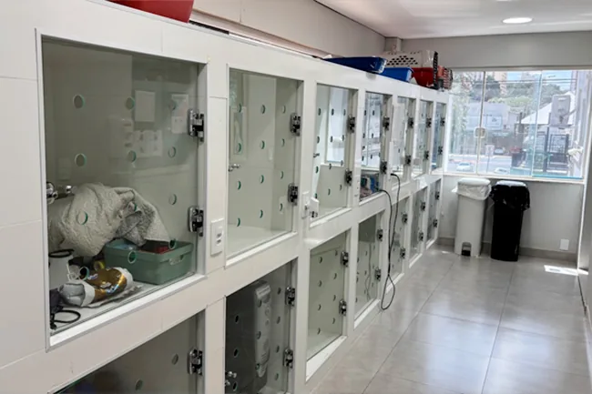 Corredor da internação, com baias de porta de vidro enfileiradas e um animal internado em uma delas